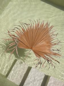 BAYA - Modern & Cozy 2BR Villa Uluwatu