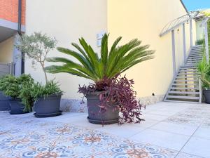 Il Giardino degli Ulivi PT