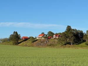 Manor House - Torsberg Farm