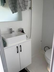 Taree CBD Tiny backyard POD