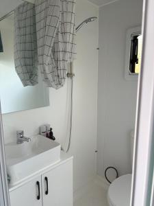 Taree CBD Tiny backyard POD