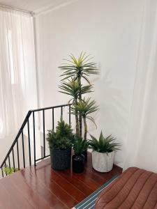 4BR entire house next to Skytrain BTS and Subway MRT Chatuchak