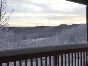 Winterplace Condos - Ski In Ski Out! E101