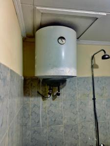 safari adventure homes