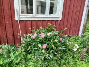 Apartment - lake view