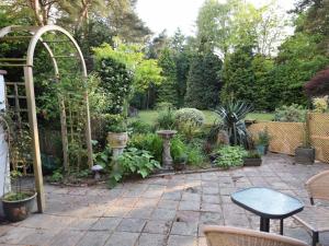 1 Bed in Ashley Heath 50147