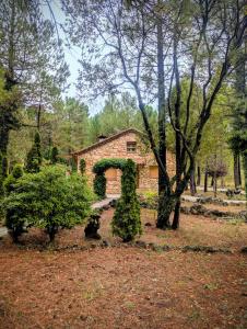 Casas rurales FUENTE EL OJICO