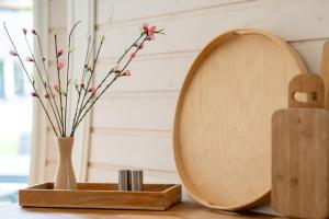 Südkugel - Kugelhaus in ökologischer Bauweise am Tollensesee