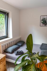 Studio mit Terrasse bei Frankfurt