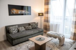 Apartmán Radvanička