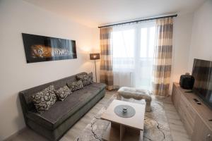 Apartmán Radvanička