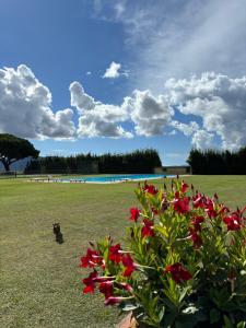 Fattoria Barca Colonna