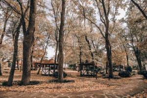 Hotel Selena Family Resort