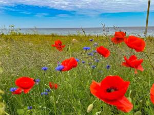 14 person holiday home in Sjællands Odde