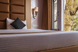 Jasmine Mountain View Retreat - Mall Road Dalhousie