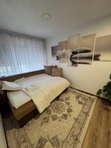 Central main street apartament