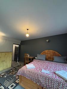 HOLIDAYS in HAVEN HOSPITALITY