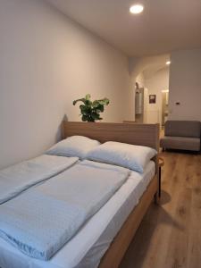 Apartment im Stadtzentrum