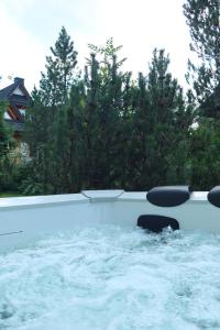 Golden Apartments - Panorama Zakopane - Tatry View&3