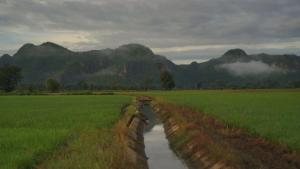 West Mount Cafe & Restaurant