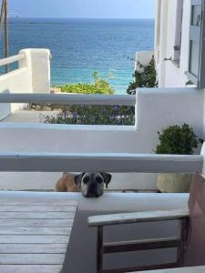 Ianthi Boutique Guesthouses Skyros