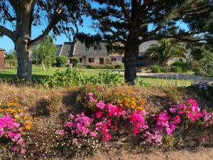 Maisons de la Clarté - Cottage Mer