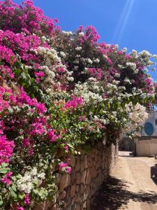 Frida in Assala a seaside home with terrace