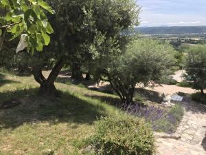 Villa Luxe – Vues panoramiques