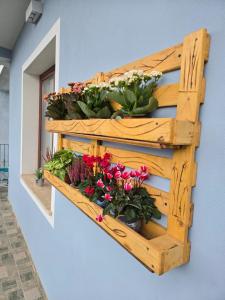 Affittacamere La Violica img32