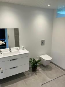 Newly Renovated House In Beautiful Hyllingeriis!