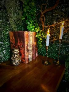 Béziers - 4 couchages - Spa & billard