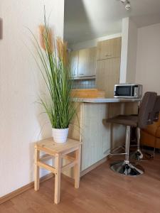 Nice apartment near Frankfurt Main