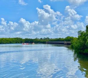 Vacation Villa in Tampa 17 Guest