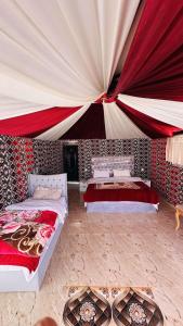 Desert Tree camp&tours