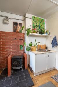 Urban Jungle 10min Walk to Old Town