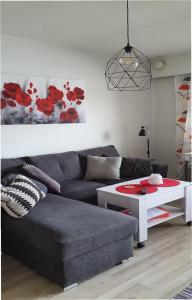 Studio with sauna in the center