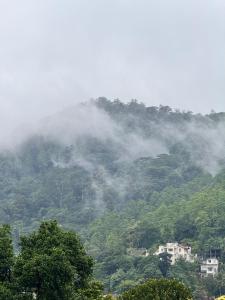 Misty Hills Lakeview Lounge