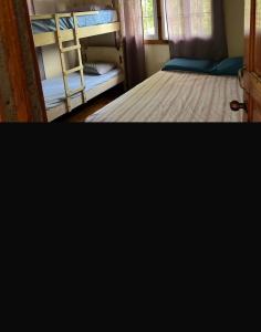 Beachfront Omoa Getaway, Pool, Pool Table For 10