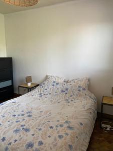 Les orangers - Villa catalane avec Jacuzzi