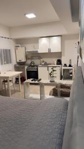 Patagonia Alamos III