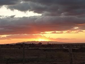 Acacia Square & Camping