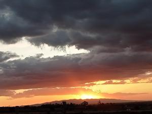 Acacia Square & Camping