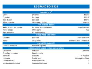 Confortable 2 Pièces, Skis aux Pieds, Proche Commerces - FR-1-182A-31