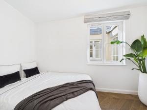 Luxury Penthouse in Center with Terrace & Direct Lift - The Piękna Residences