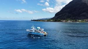 Kalo Homes - Makaha Mountain Hideaway