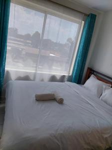 Affordable One bedroom with a Swimming Pool