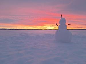 Kuikkaniemen Rantamökki