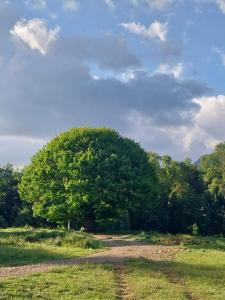 Domos Glamping Killahue