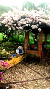 Casa Campestre El refugio