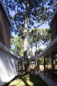 Casa Pet friendly cercana al centro y al mar